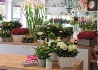 Amanda Austin Flowers