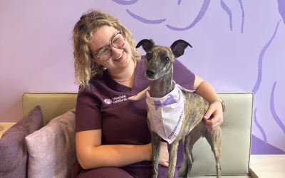 Creature Comforts Eases Into Chelsea