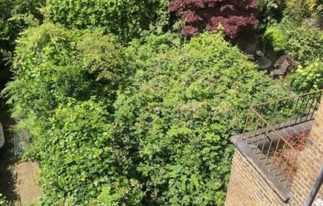 Residents escalate fight to FINALLY deal with “neighbour from hell”