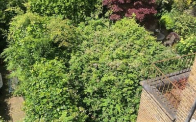 Residents escalate fight to FINALLY deal with “neighbour from hell”