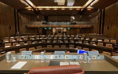 Full Council Meeting – The Citizen takes poll (sic) position