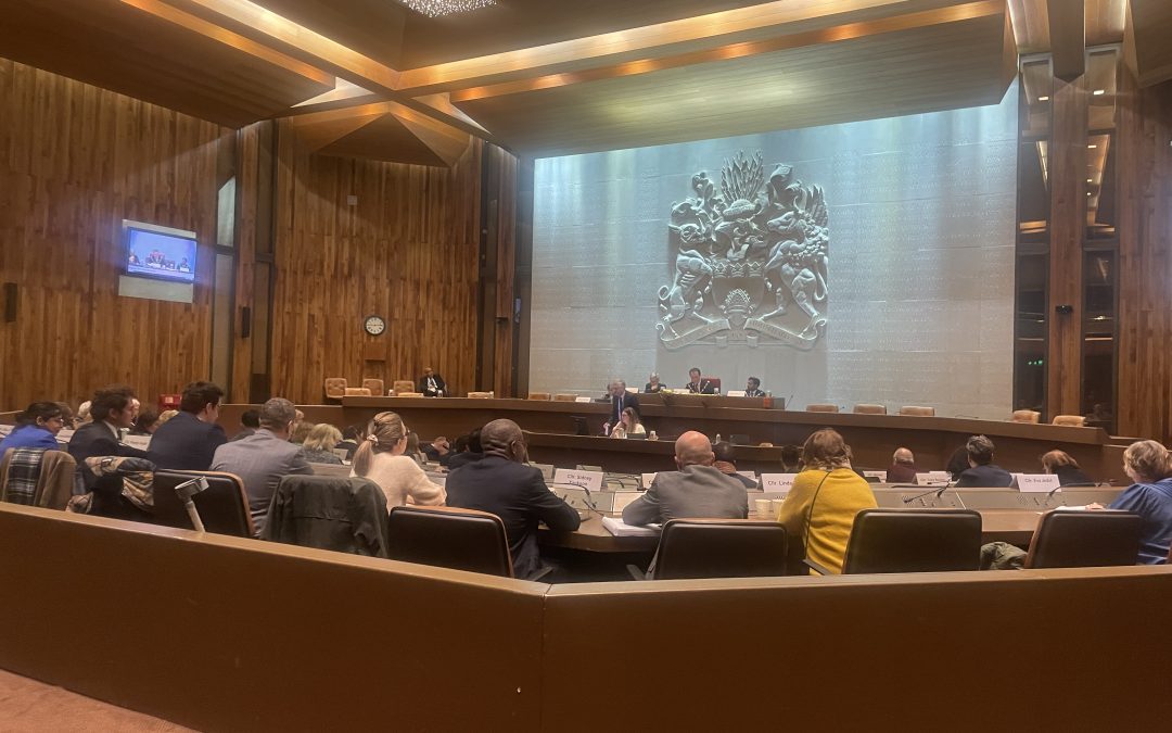 Sketch: A wry view from the press seats as the full council debates the 2026 budget