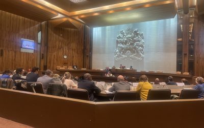 Sketch: A wry view from the press seats as the full council debates the 2026 budget