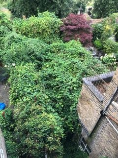 ‘It’s time the council FINALLY took action against our Neighbour From Hell’